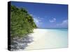 Mendu Island, Baa Atoll, Maldives, Indian Ocean-Sergio Pitamitz-Stretched Canvas