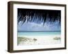 Mendu Island, Baa Atoll, Maldives, Indian Ocean-Sergio Pitamitz-Framed Photographic Print