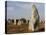 Menec Menhirs in Carnac, Morbihan, Brittany, France, Europe-null-Stretched Canvas