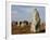 Menec Menhirs in Carnac, Morbihan, Brittany, France, Europe-null-Framed Photographic Print