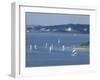 Menemsha, Martha's Vineyard-Alfred Eisenstaedt-Framed Photographic Print