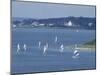 Menemsha, Martha's Vineyard-Alfred Eisenstaedt-Mounted Photographic Print