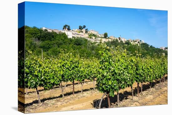 Menerbes and Vines, Luberon, Provence, France, Europe-Peter Groenendijk-Stretched Canvas