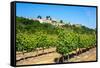 Menerbes and Vines, Luberon, Provence, France, Europe-Peter Groenendijk-Framed Stretched Canvas