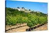 Menerbes and Vines, Luberon, Provence, France, Europe-Peter Groenendijk-Stretched Canvas