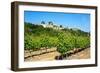 Menerbes and Vines, Luberon, Provence, France, Europe-Peter Groenendijk-Framed Photographic Print