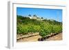 Menerbes and Vines, Luberon, Provence, France, Europe-Peter Groenendijk-Framed Photographic Print