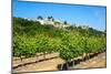 Menerbes and Vines, Luberon, Provence, France, Europe-Peter Groenendijk-Mounted Photographic Print