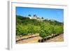 Menerbes and Vines, Luberon, Provence, France, Europe-Peter Groenendijk-Framed Photographic Print