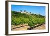 Menerbes and Vines, Luberon, Provence, France, Europe-Peter Groenendijk-Framed Photographic Print