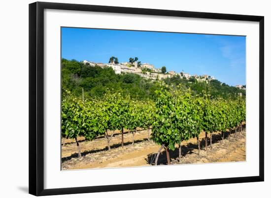 Menerbes and Vines, Luberon, Provence, France, Europe-Peter Groenendijk-Framed Photographic Print