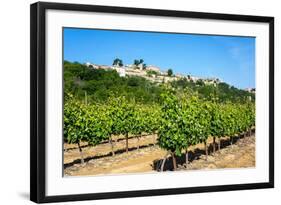 Menerbes and Vines, Luberon, Provence, France, Europe-Peter Groenendijk-Framed Photographic Print