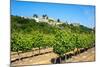 Menerbes and Vines, Luberon, Provence, France, Europe-Peter Groenendijk-Mounted Photographic Print