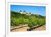 Menerbes and Vines, Luberon, Provence, France, Europe-Peter Groenendijk-Framed Photographic Print