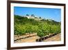 Menerbes and Vines, Luberon, Provence, France, Europe-Peter Groenendijk-Framed Photographic Print