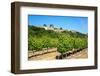 Menerbes and Vines, Luberon, Provence, France, Europe-Peter Groenendijk-Framed Photographic Print