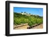 Menerbes and Vines, Luberon, Provence, France, Europe-Peter Groenendijk-Framed Photographic Print