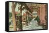 Menger Colonnade, San Antonio, Texas-null-Framed Stretched Canvas