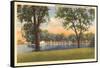 Menominee Park and Lagoon, Oshkosh, Wisconsin-null-Framed Stretched Canvas