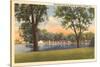 Menominee Park and Lagoon, Oshkosh, Wisconsin-null-Stretched Canvas