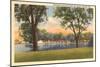 Menominee Park and Lagoon, Oshkosh, Wisconsin-null-Mounted Art Print