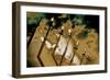 Menorah at the Souk on Hanukah, 2016-Joy Lions-Framed Giclee Print