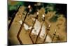 Menorah at the Souk on Hanukah, 2016-Joy Lions-Mounted Giclee Print