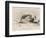 Mental Patient at la Salpetriere Going Through the Phase of Contortions-P. Richer-Framed Photographic Print