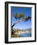 Menton, Alpes-Maritimes, Cote D'Azur, Provence, French Riviera, France, Mediterranean, Europe-Sergio Pitamitz-Framed Photographic Print