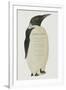 Menu in the Shape on an Emperor Penguin, for the Midwinter's Day Dinner, Cape Evans, 22nd June 1912-Edward W. Nelson-Framed Giclee Print