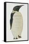 Menu in the Shape on an Emperor Penguin, for the Midwinter's Day Dinner, Cape Evans, 22nd June 1912-Edward W. Nelson-Framed Stretched Canvas