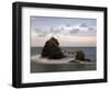 Meoto-Iwa (Wedded Rocks), Central Honshu, Japan-Gavin Hellier-Framed Photographic Print