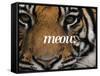 Meow-Thorsten Milse-Framed Stretched Canvas
