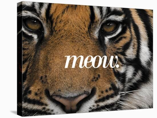 Meow-Thorsten Milse-Stretched Canvas