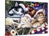Meowy Christmas 2-Jenny Newland-Stretched Canvas