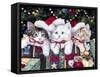 Meowy Christmas-Jenny Newland-Framed Stretched Canvas