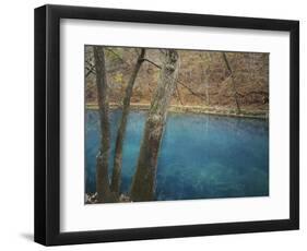 Meramec Spring, Missouri, USA-Charles Gurche-Framed Photographic Print