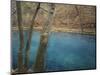 Meramec Spring, Missouri, USA-Charles Gurche-Mounted Photographic Print