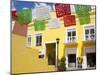 Mercado de Artesanias in Plaza del Sol, San Miguel City, Cozumel Island, Quintana Roo, Mexico-Richard Cummins-Mounted Photographic Print