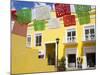 Mercado de Artesanias in Plaza del Sol, San Miguel City, Cozumel Island, Quintana Roo, Mexico-Richard Cummins-Mounted Photographic Print