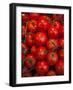 Mercado De San Miguel, Madrid, Spain-Walter Bibikow-Framed Photographic Print