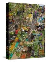 Mercado Dos Lavradores, the Covered Market For Producers of Island Food, Funchal, Madeira, Portugal-Neale Clarke-Stretched Canvas