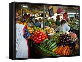 Mercado Municipal, Maputo, Mozambique-Cindy Miller Hopkins-Framed Stretched Canvas