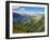 Mercantour National Park, Alpes-Haute-Provence, France-David Hughes-Framed Photographic Print