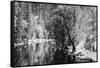 Merced River and Cathedral Rock in winter, Yosemite National Park, California, USA-Russ Bishop-Framed Stretched Canvas