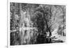 Merced River and Cathedral Rock in winter, Yosemite National Park, California, USA-Russ Bishop-Framed Photographic Print