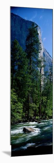 Merced River and El Capitan Yosemite National Park Ca-null-Mounted Photographic Print