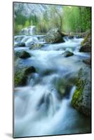 Merced River Flow in Spring, Yosemite California-Vincent James-Mounted Photographic Print