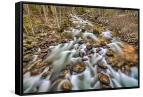 Merced River, Happy Isles, Yosemite, California-John Ford-Framed Stretched Canvas