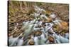 Merced River, Happy Isles, Yosemite, California-John Ford-Stretched Canvas